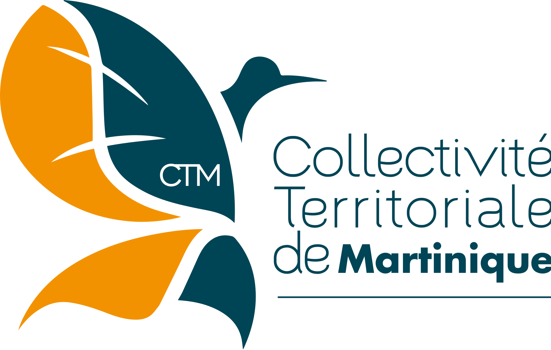 logo CTM