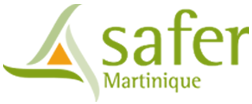 logo Safer Martinique