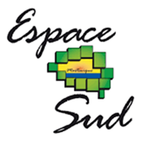 logo espace sud